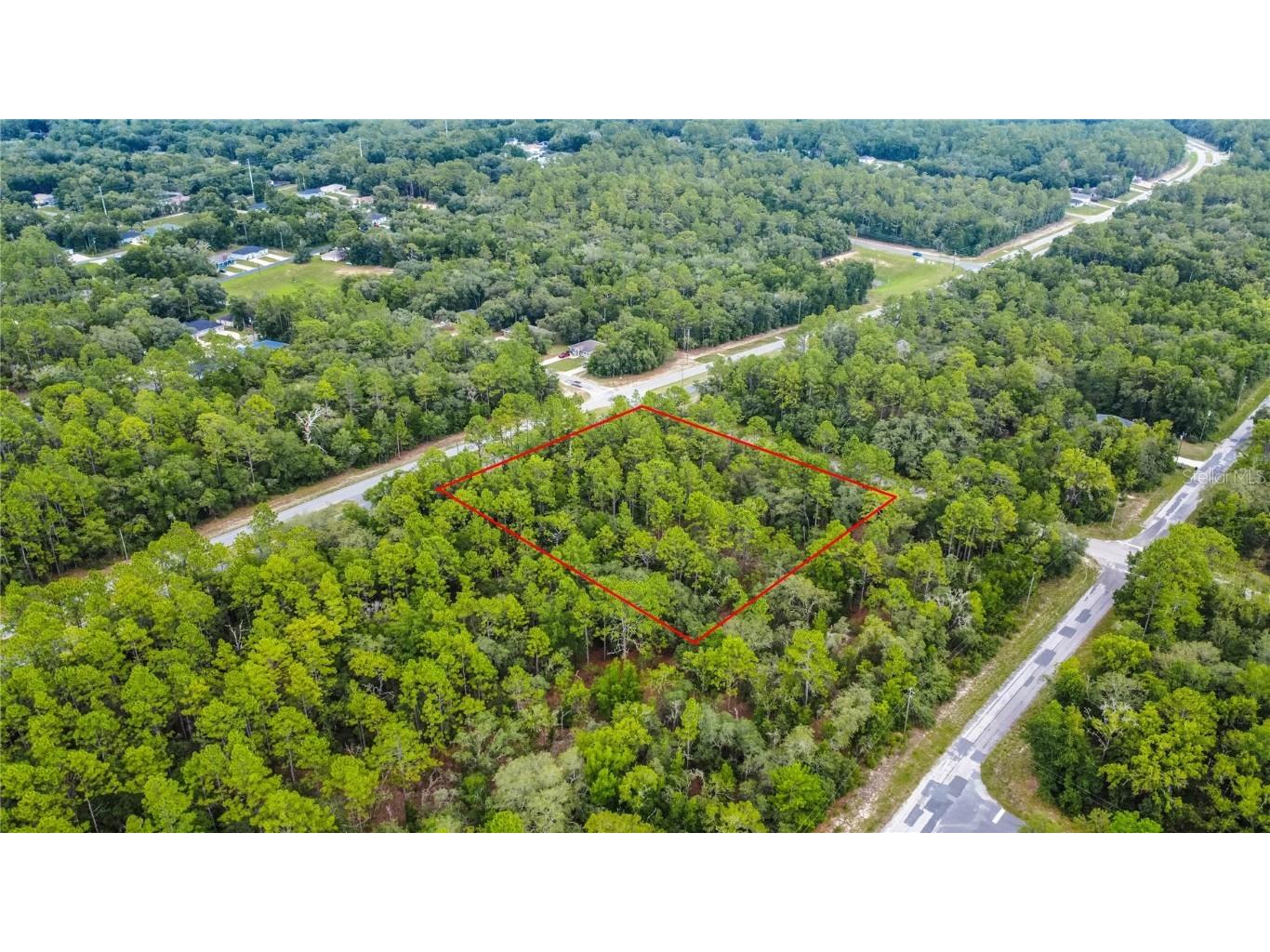 1287 W Evergreen Drive Citrus Springs FL 34434 W7876528 image1