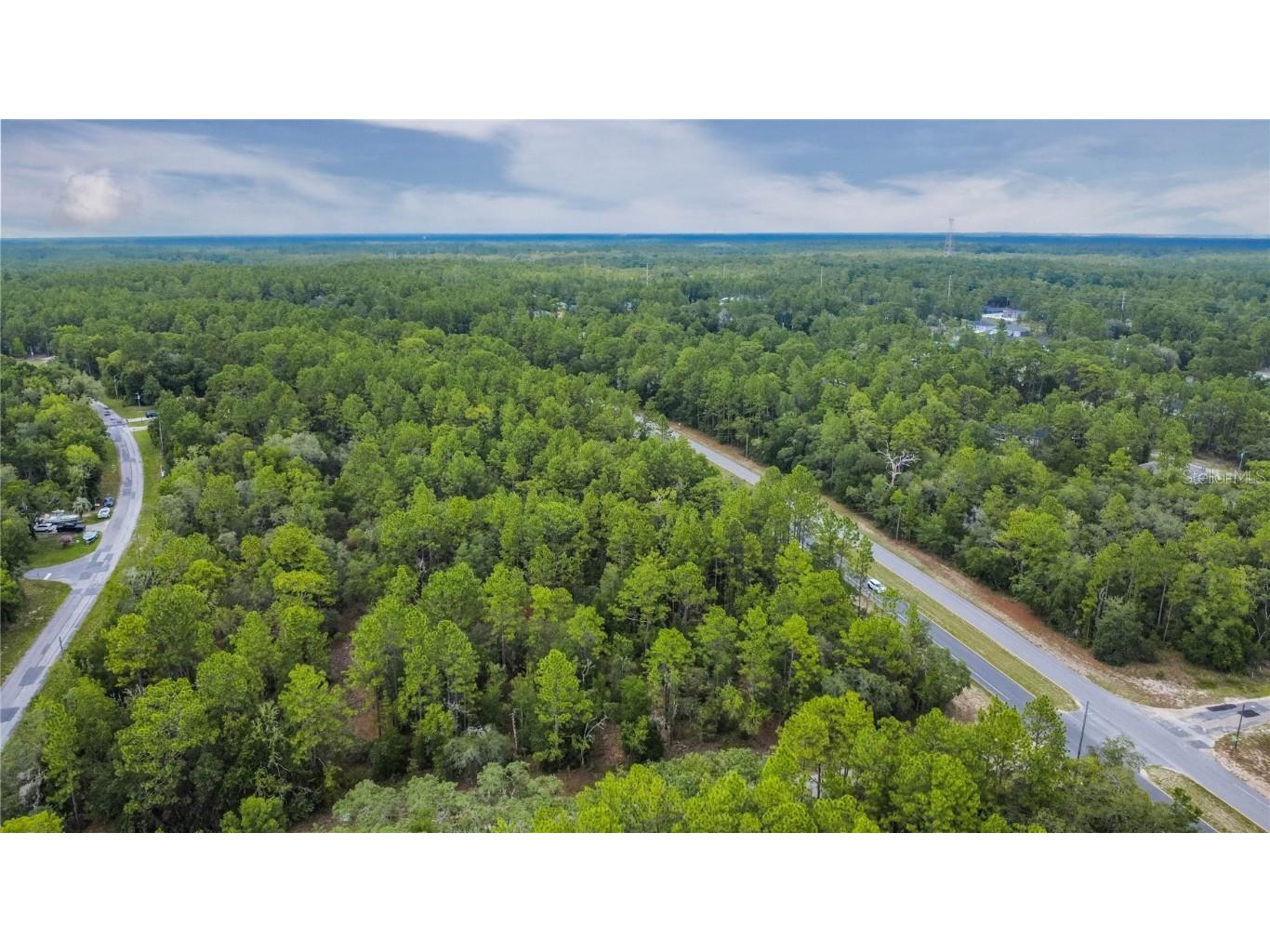 1287 W Evergreen Drive Citrus Springs FL 34434 W7876528 image10