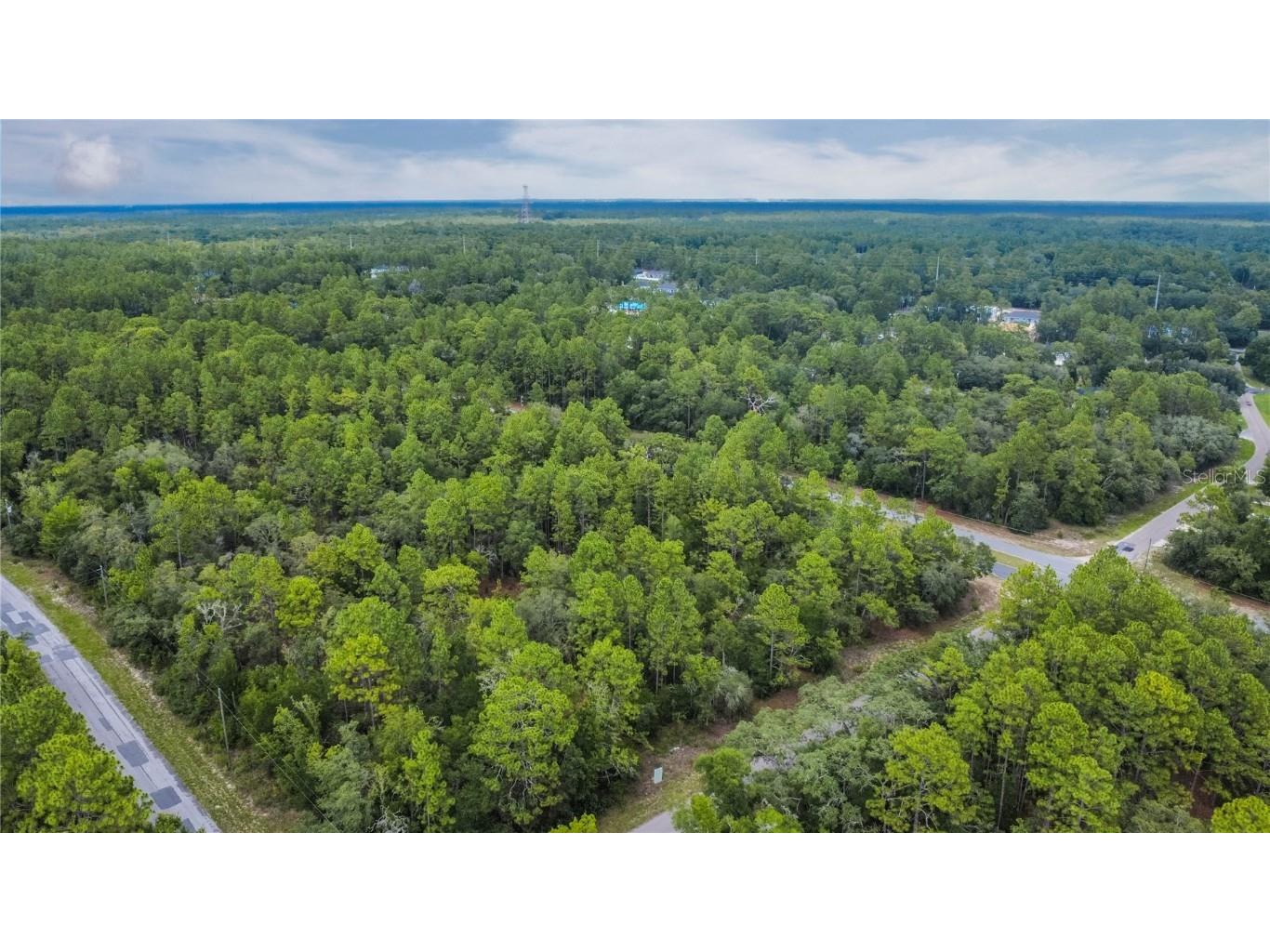 1287 W Evergreen Drive Citrus Springs FL 34434 W7876528 image11