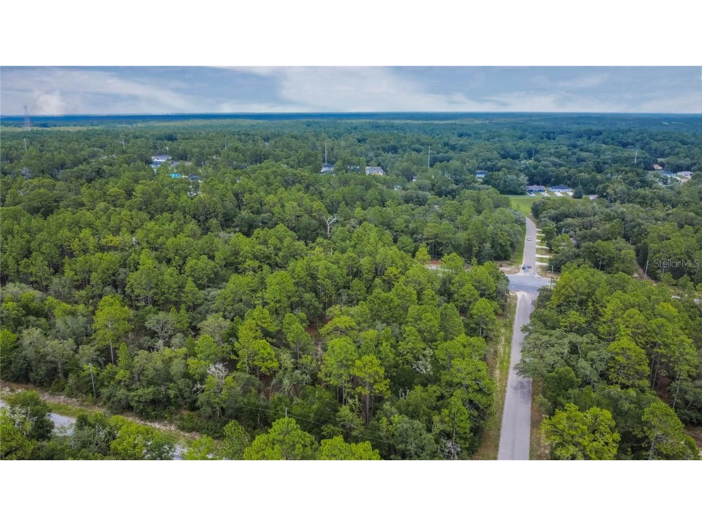 1287 W Evergreen Drive Citrus Springs FL 34434 W7876528 image12