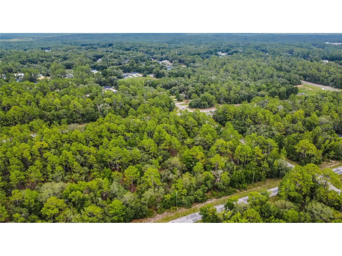 1287 W Evergreen Drive Citrus Springs FL 34434 W7876528 image13