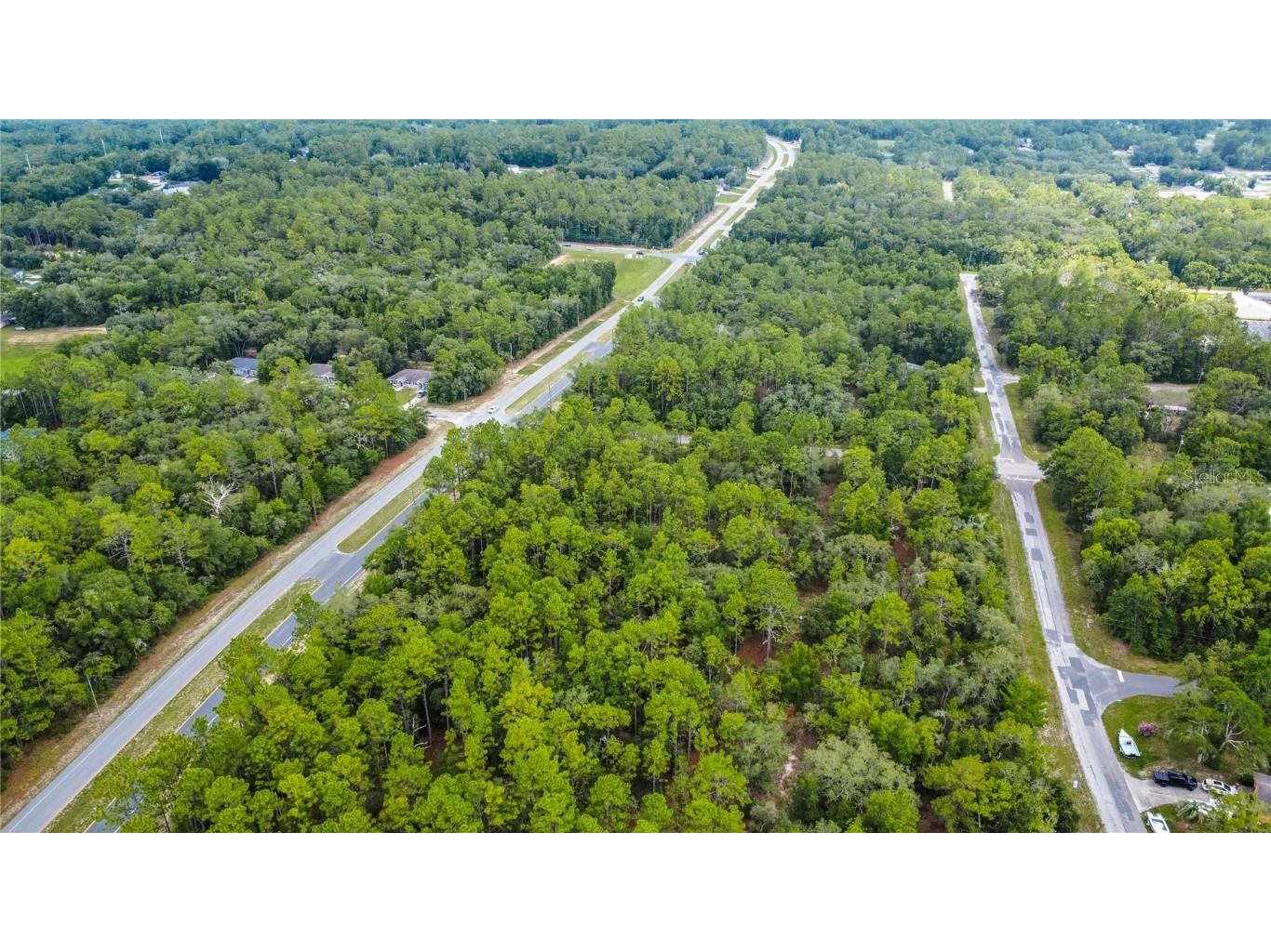 1287 W Evergreen Drive Citrus Springs FL 34434 W7876528 image14