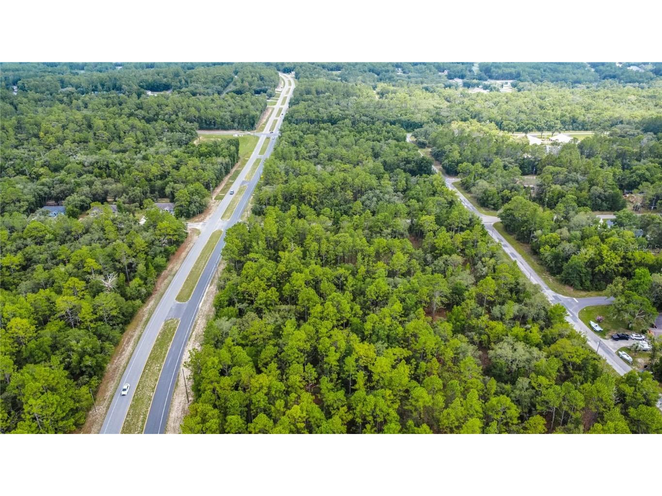 1287 W Evergreen Drive Citrus Springs FL 34434 W7876528 image15