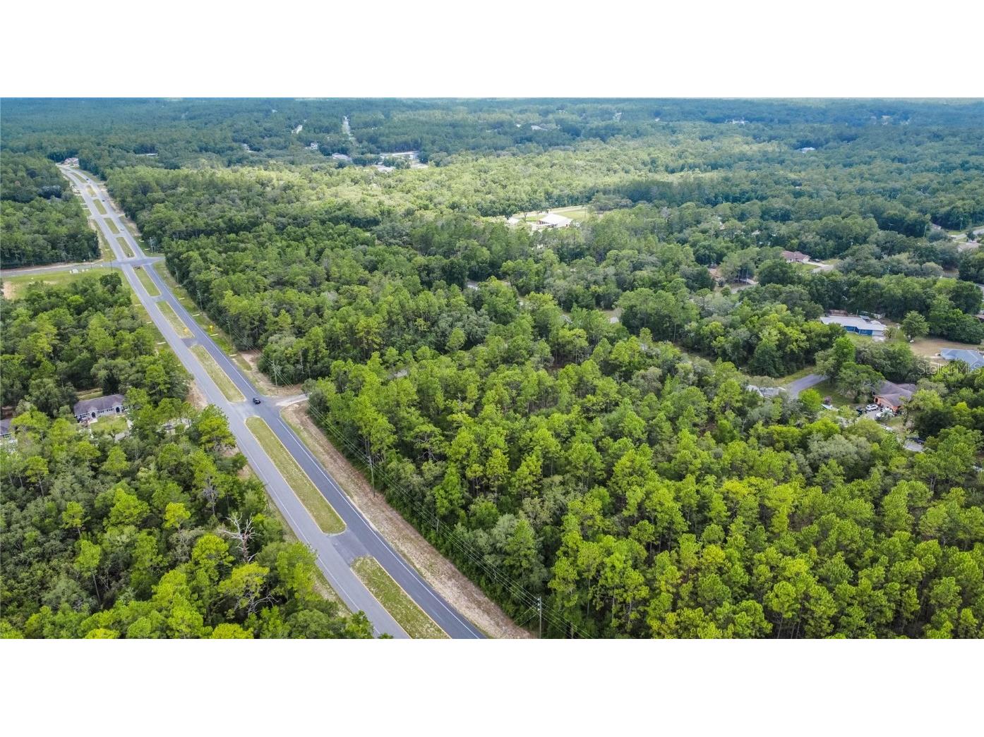 1287 W Evergreen Drive Citrus Springs FL 34434 W7876528 image16