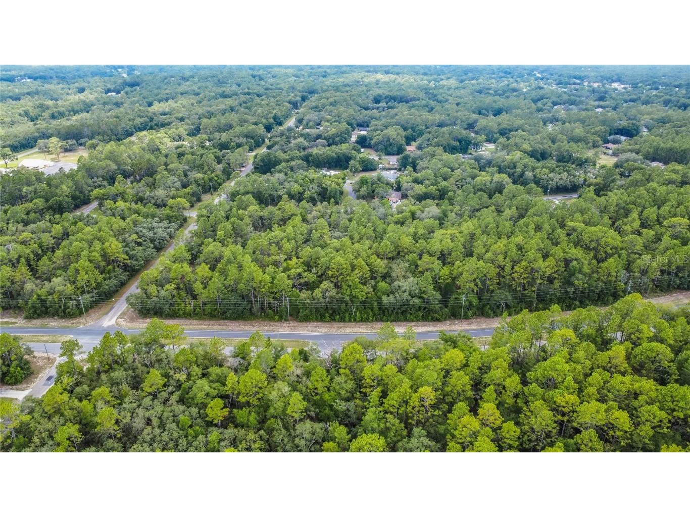 1287 W Evergreen Drive Citrus Springs FL 34434 W7876528 image19