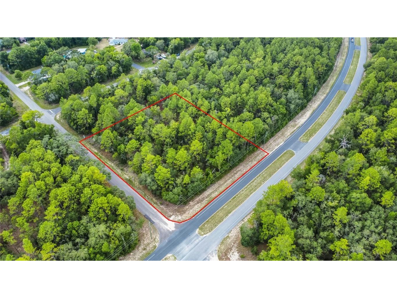 1287 W Evergreen Drive Citrus Springs FL 34434 W7876528 image2