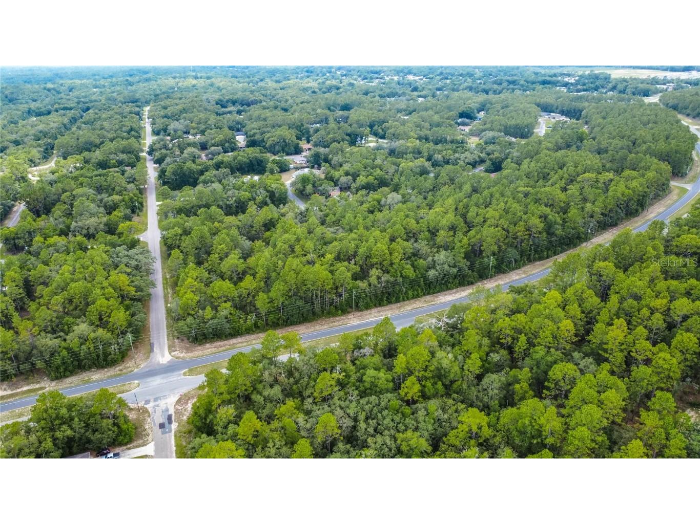 1287 W Evergreen Drive Citrus Springs FL 34434 W7876528 image20