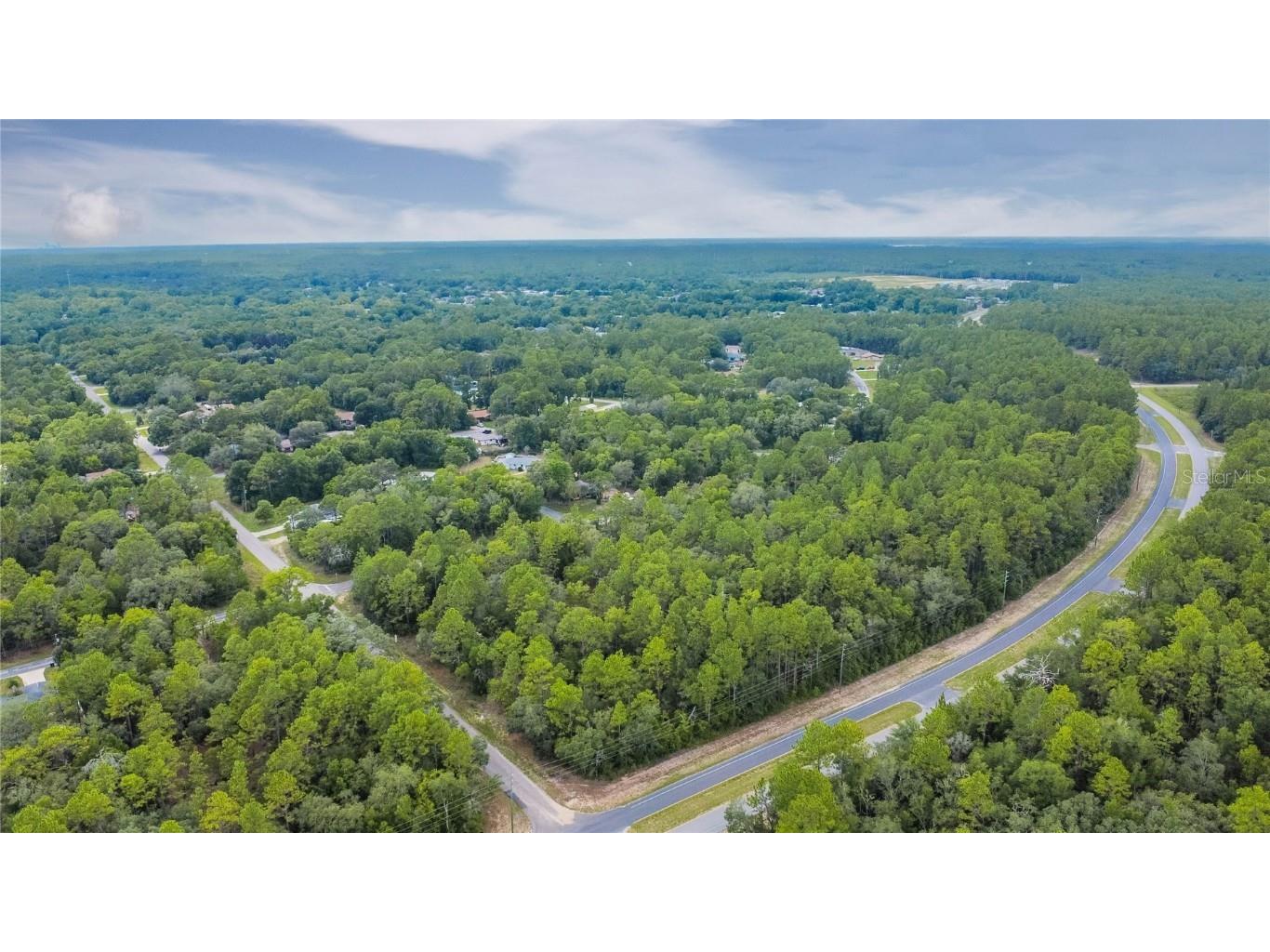 1287 W Evergreen Drive Citrus Springs FL 34434 W7876528 image21