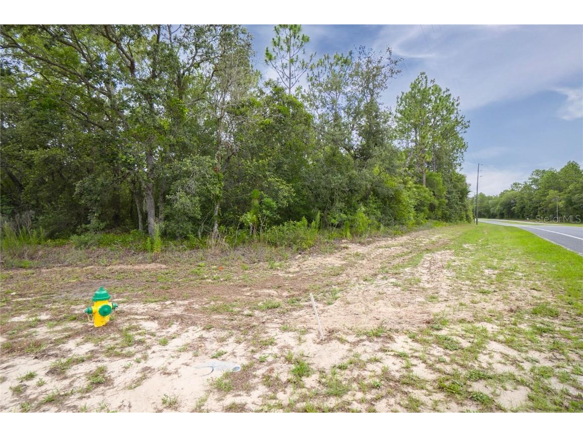 1287 W Evergreen Drive Citrus Springs FL 34434 W7876528 image22