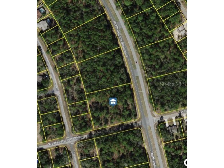 1287 W Evergreen Drive Citrus Springs FL 34434 W7876528 image24