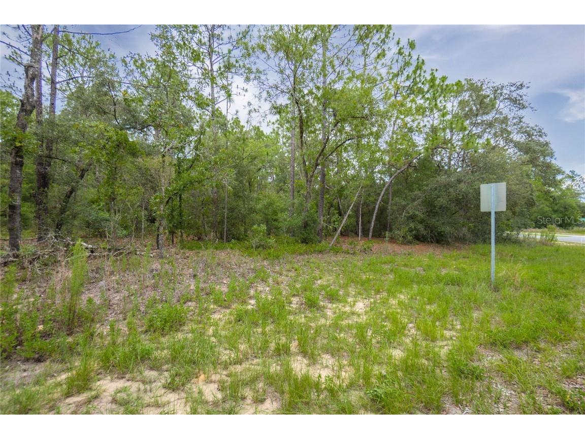 1287 W Evergreen Drive Citrus Springs FL 34434 W7876528 image4