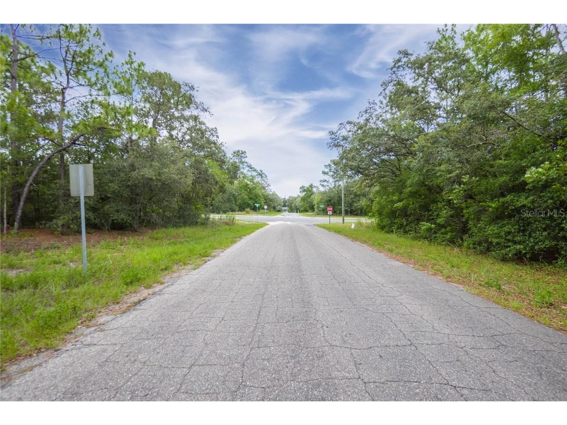 1287 W Evergreen Drive Citrus Springs FL 34434 W7876528 image5