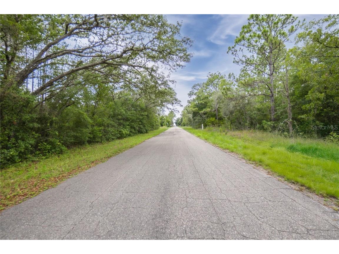 1287 W Evergreen Drive Citrus Springs FL 34434 W7876528 image6