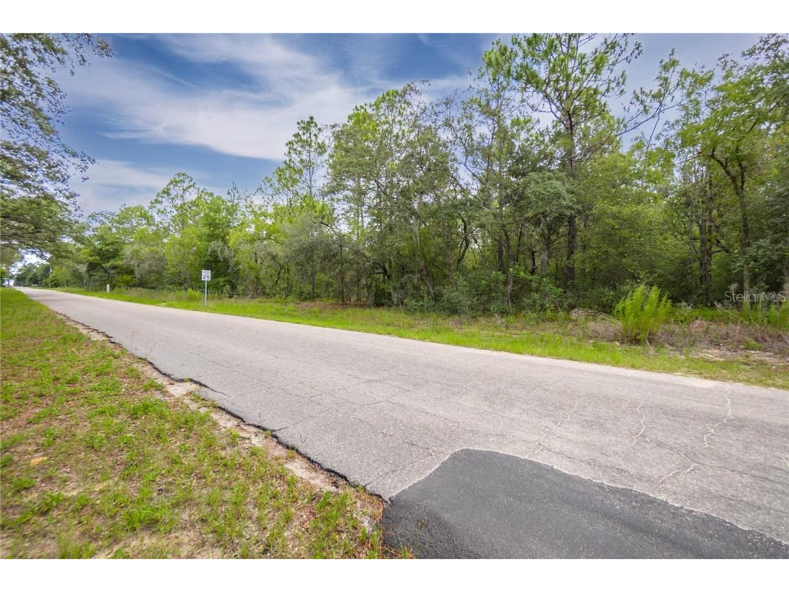 1287 W Evergreen Drive Citrus Springs FL 34434 W7876528 image7