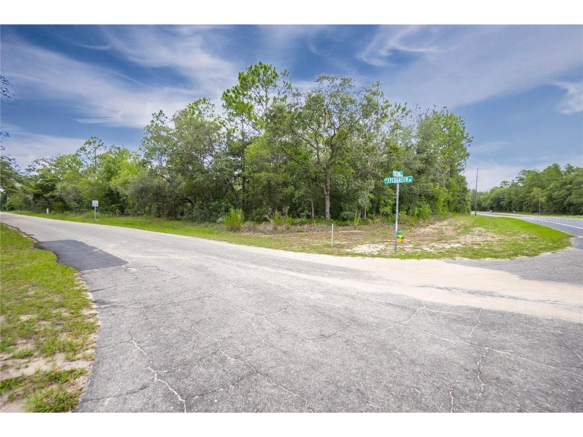1287 W Evergreen Drive Citrus Springs FL 34434 W7876528 image8