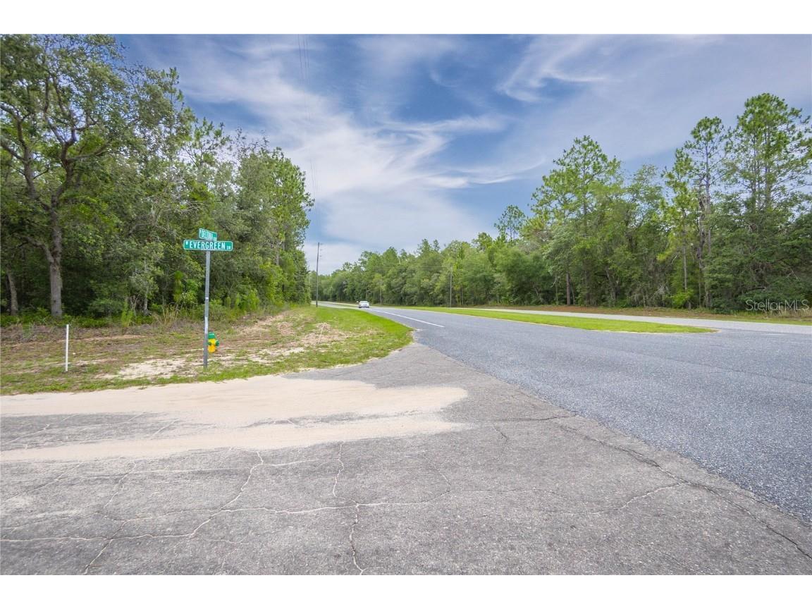 1287 W Evergreen Drive Citrus Springs FL 34434 W7876528 image9