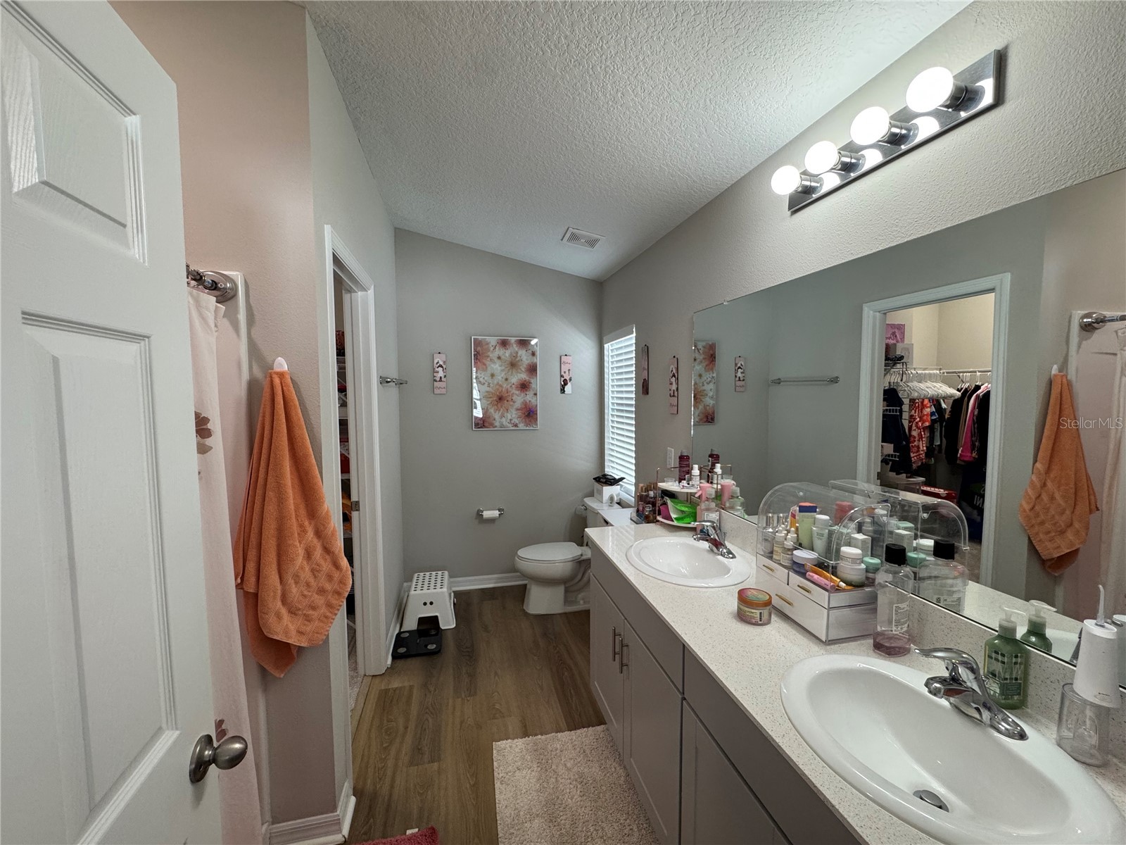 12870 French Market Drive Riverview FL 33579 TB8509491 image8