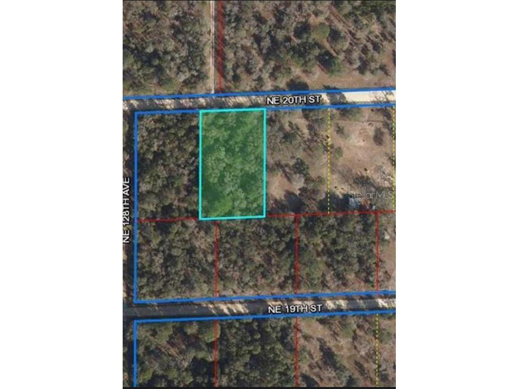 12870 NE 20th Street Williston FL 32696 O6094756 image1