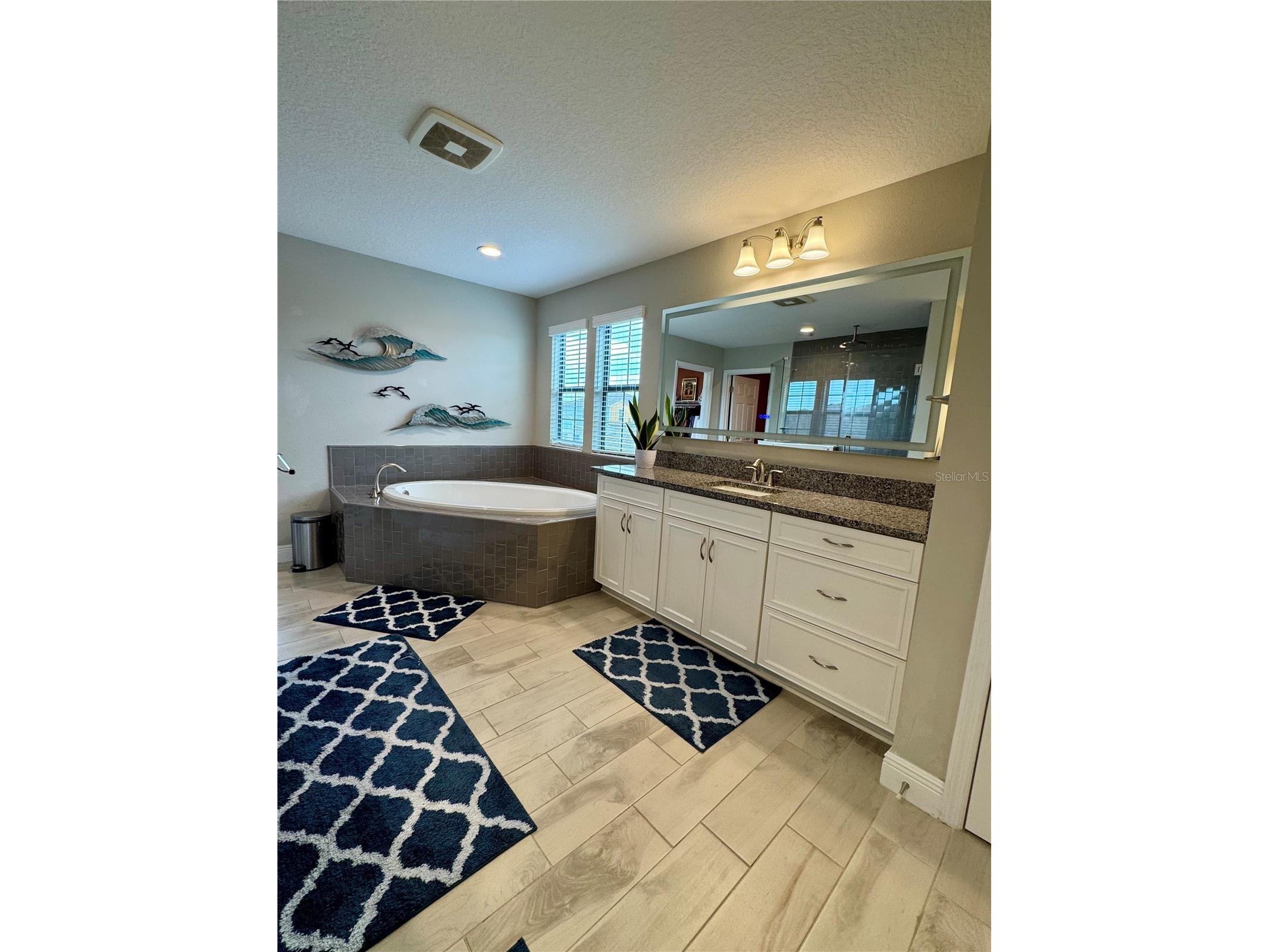 12870 Twin Bridges Drive Riverview FL 33579 TB8499361 image34