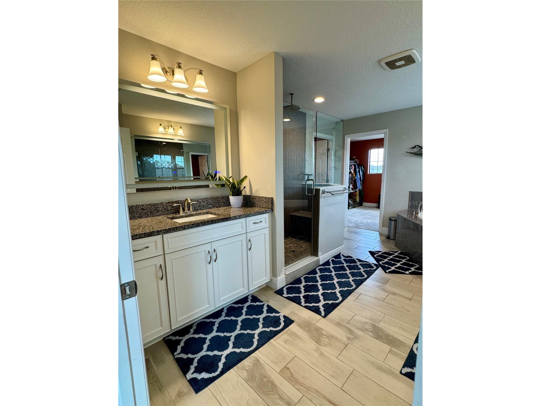 12870 Twin Bridges Drive Riverview FL 33579 TB8499361 image35