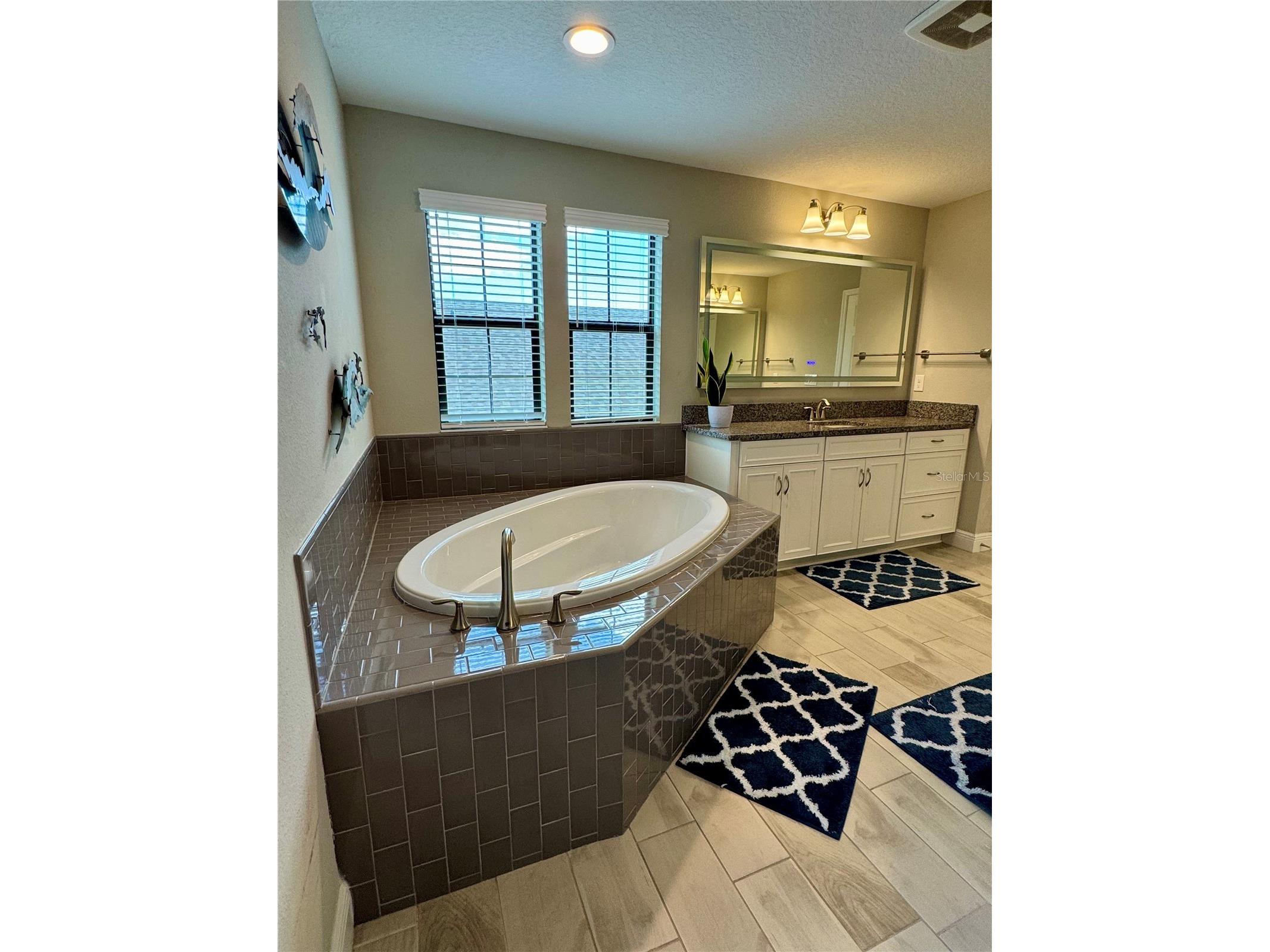 12870 Twin Bridges Drive Riverview FL 33579 TB8499361 image38