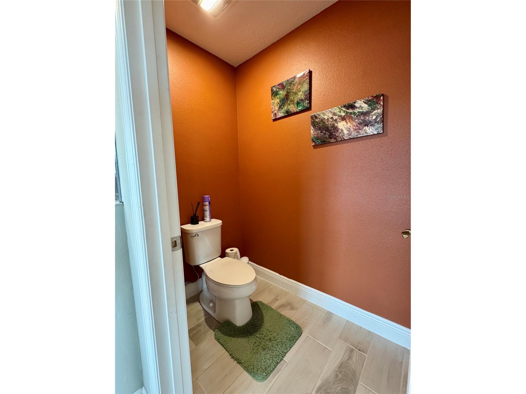 12870 Twin Bridges Drive Riverview FL 33579 TB8499361 image39