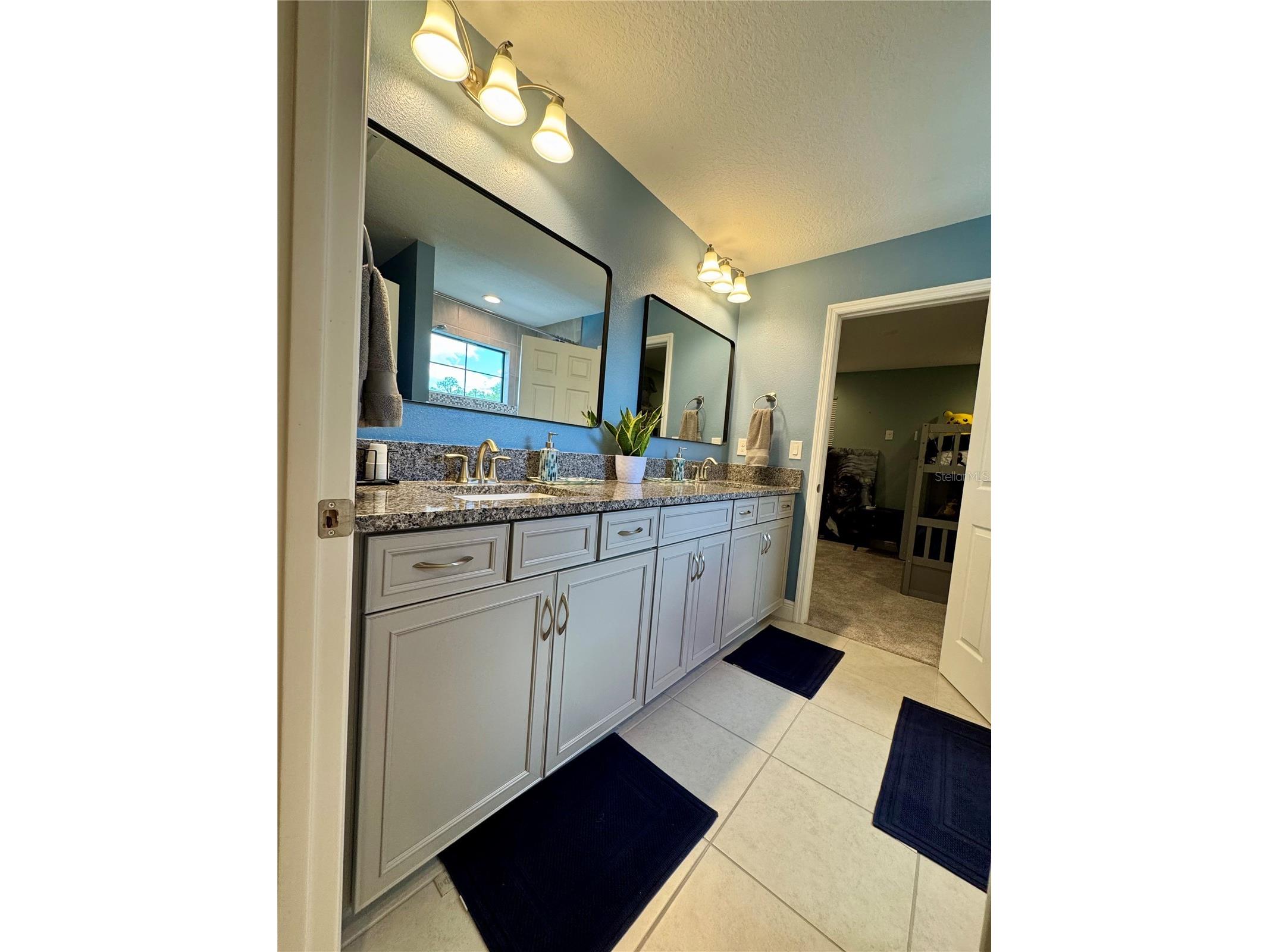 12870 Twin Bridges Drive Riverview FL 33579 TB8499361 image47