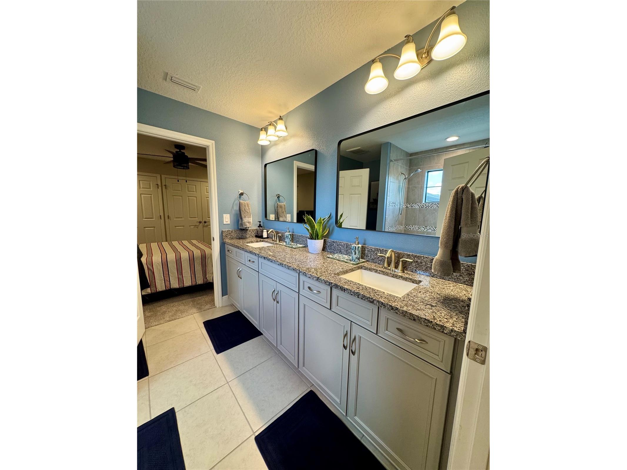 12870 Twin Bridges Drive Riverview FL 33579 TB8499361 image49