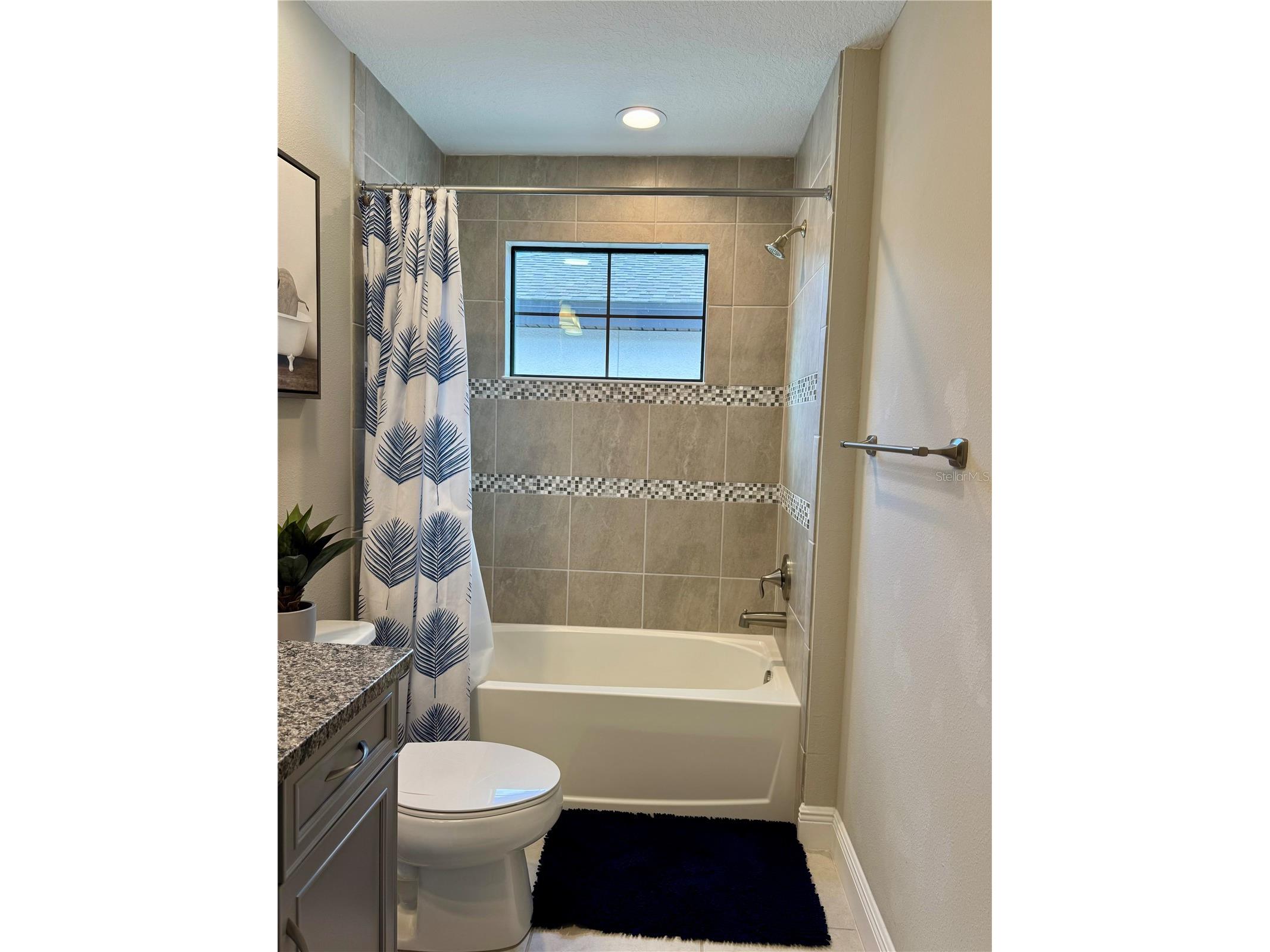 12870 Twin Bridges Drive Riverview FL 33579 TB8499361 image52