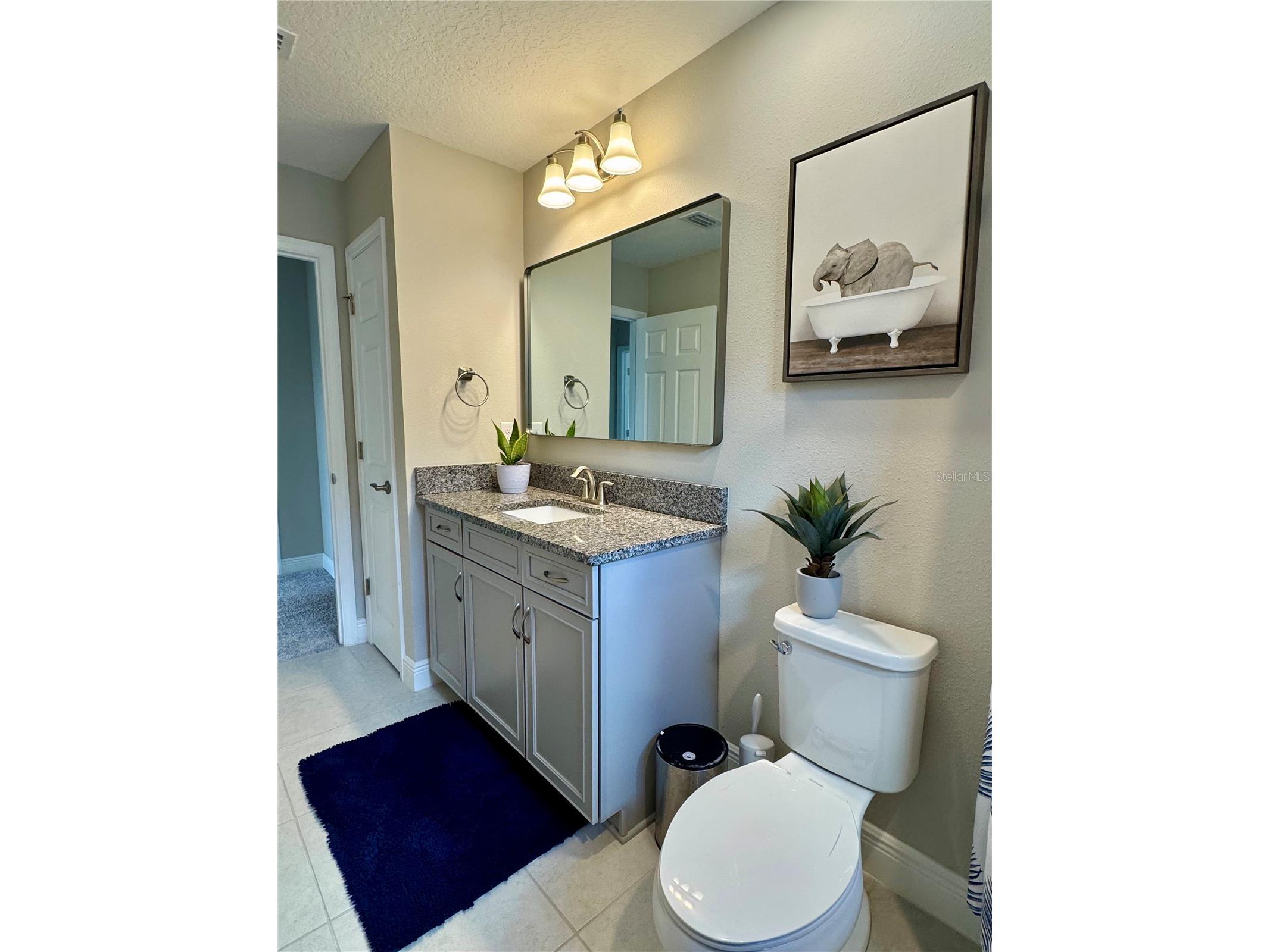 12870 Twin Bridges Drive Riverview FL 33579 TB8499361 image53