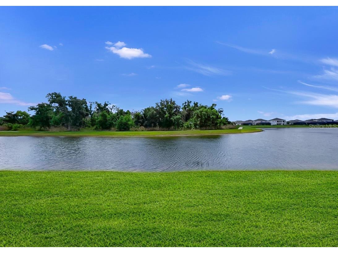 12873 Tripoli Avenue Riverview FL 33579 TB8494930 image4
