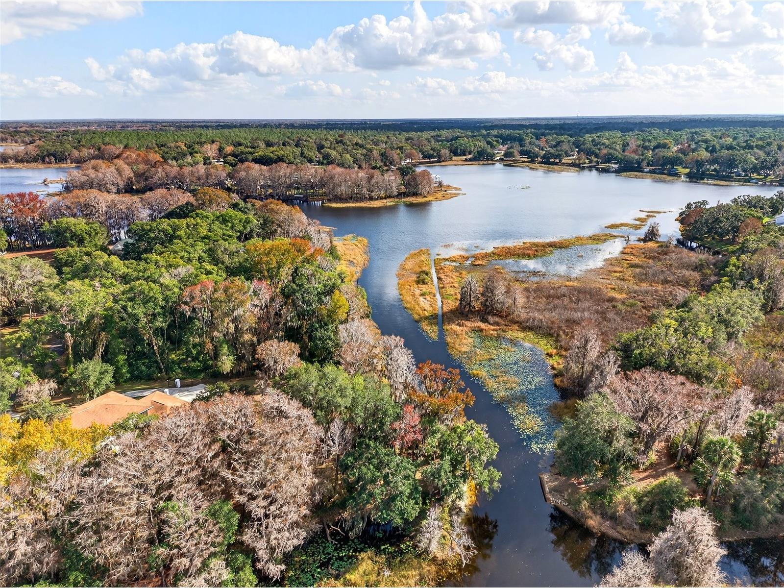 1288 Cypress Cove Court #1288 Inverness FL 34450 O6334006 image34