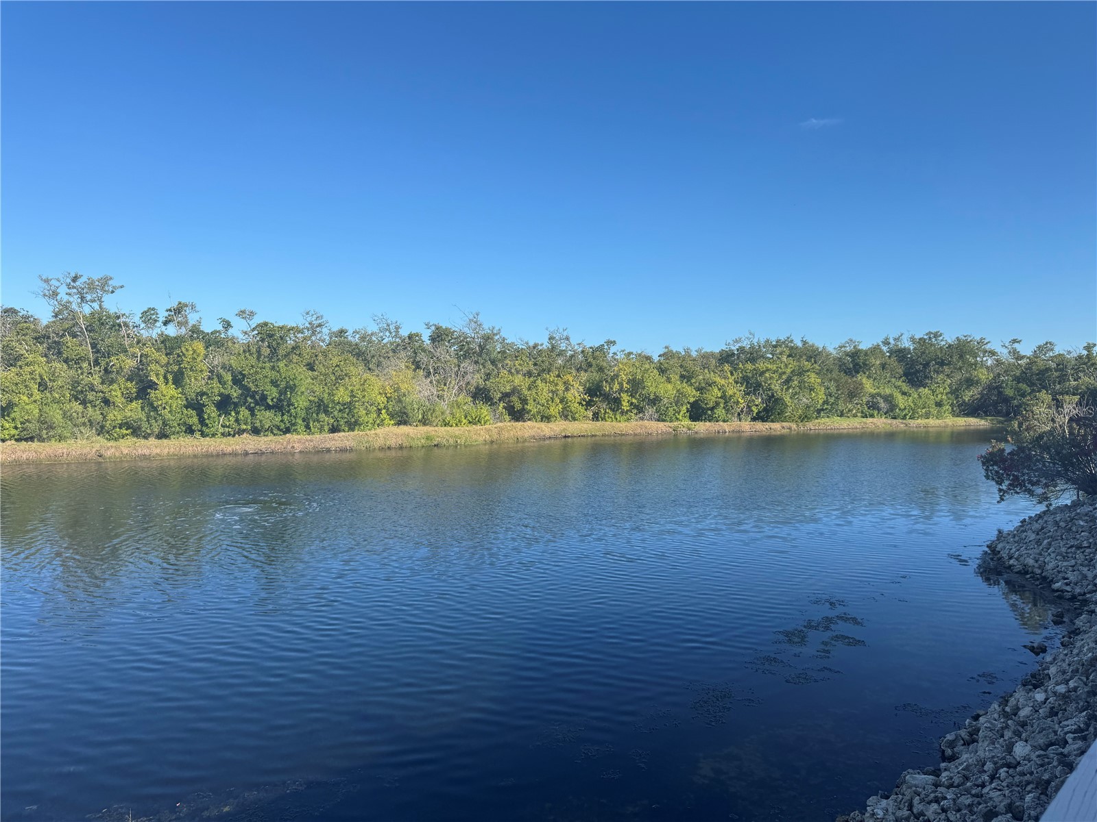 1288 Spoonbill Landings Circle Bradenton FL 34209 A4689686 image7