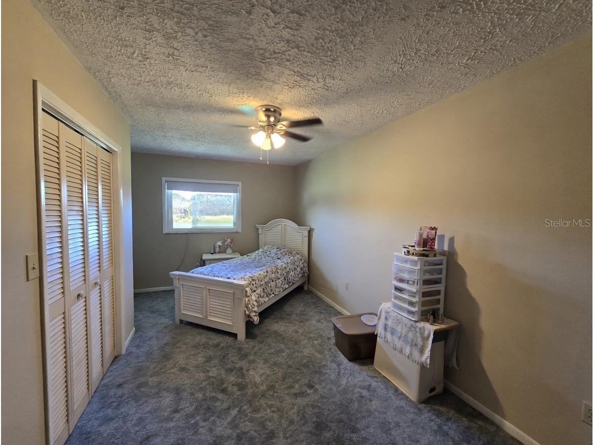 12882 E Wheeler Brandon FL 33511 TB8505044 image12