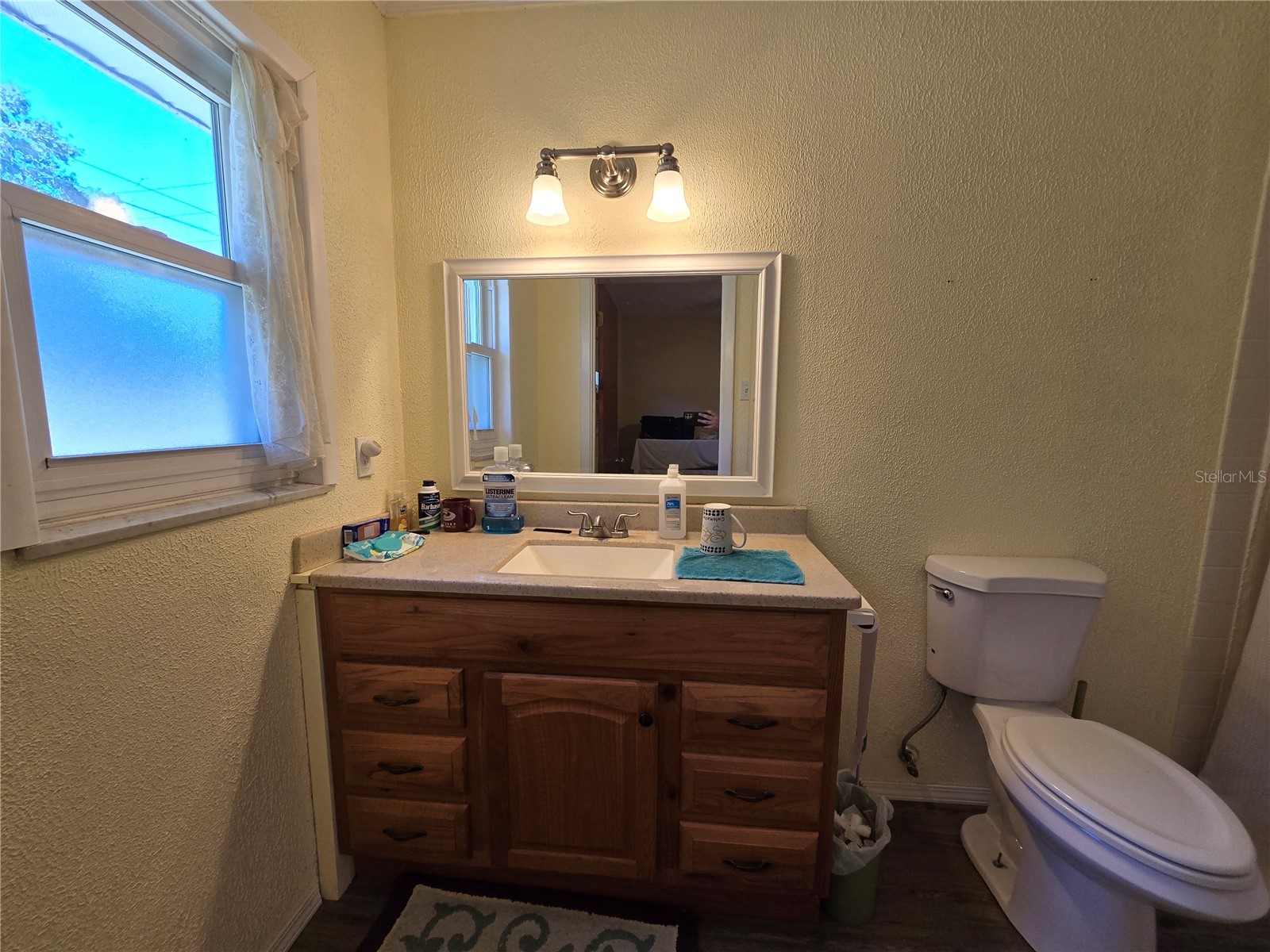 12882 E Wheeler Brandon FL 33511 TB8505044 image26