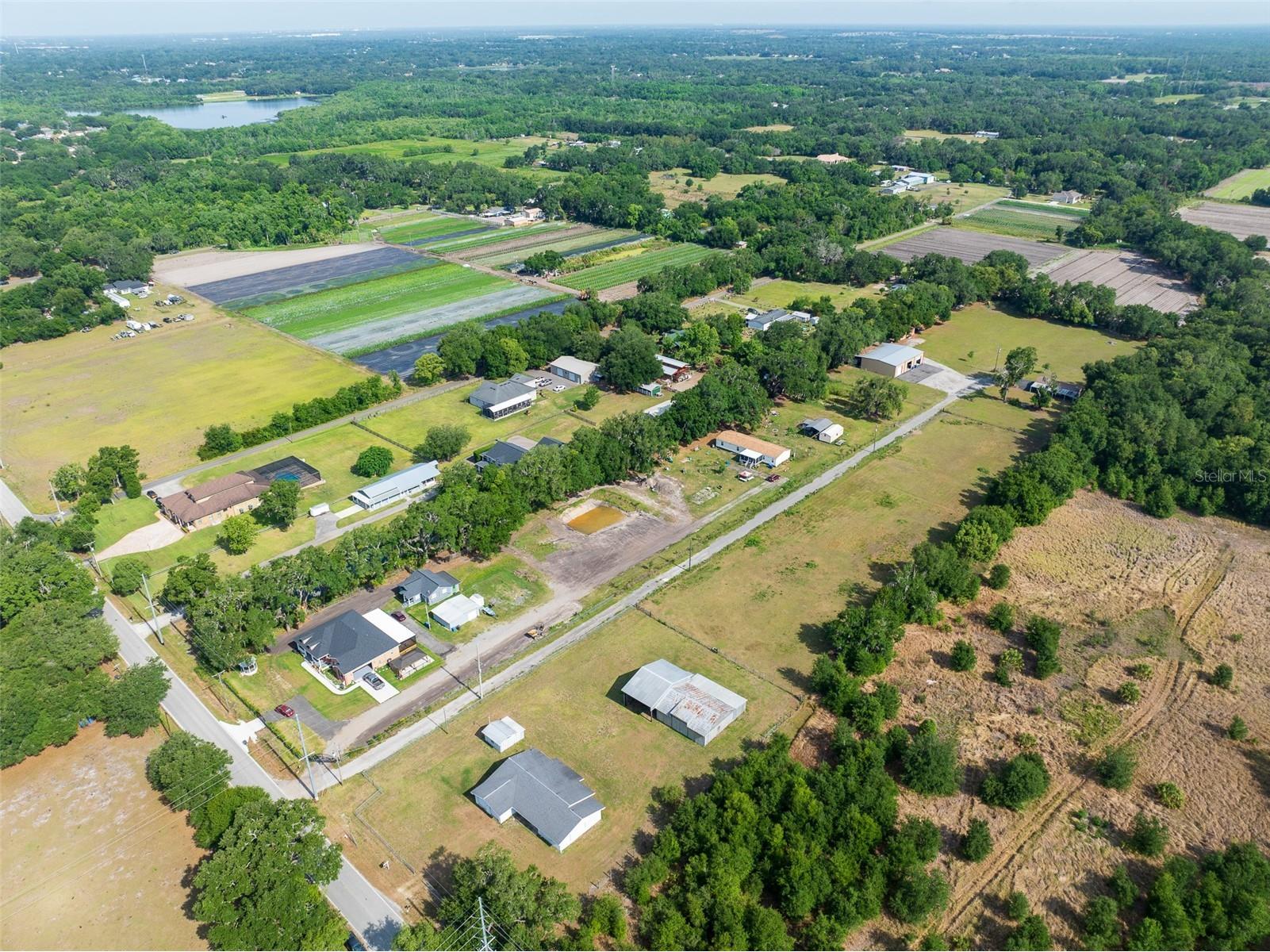 12882 E Wheeler Brandon FL 33511 TB8505044 image3