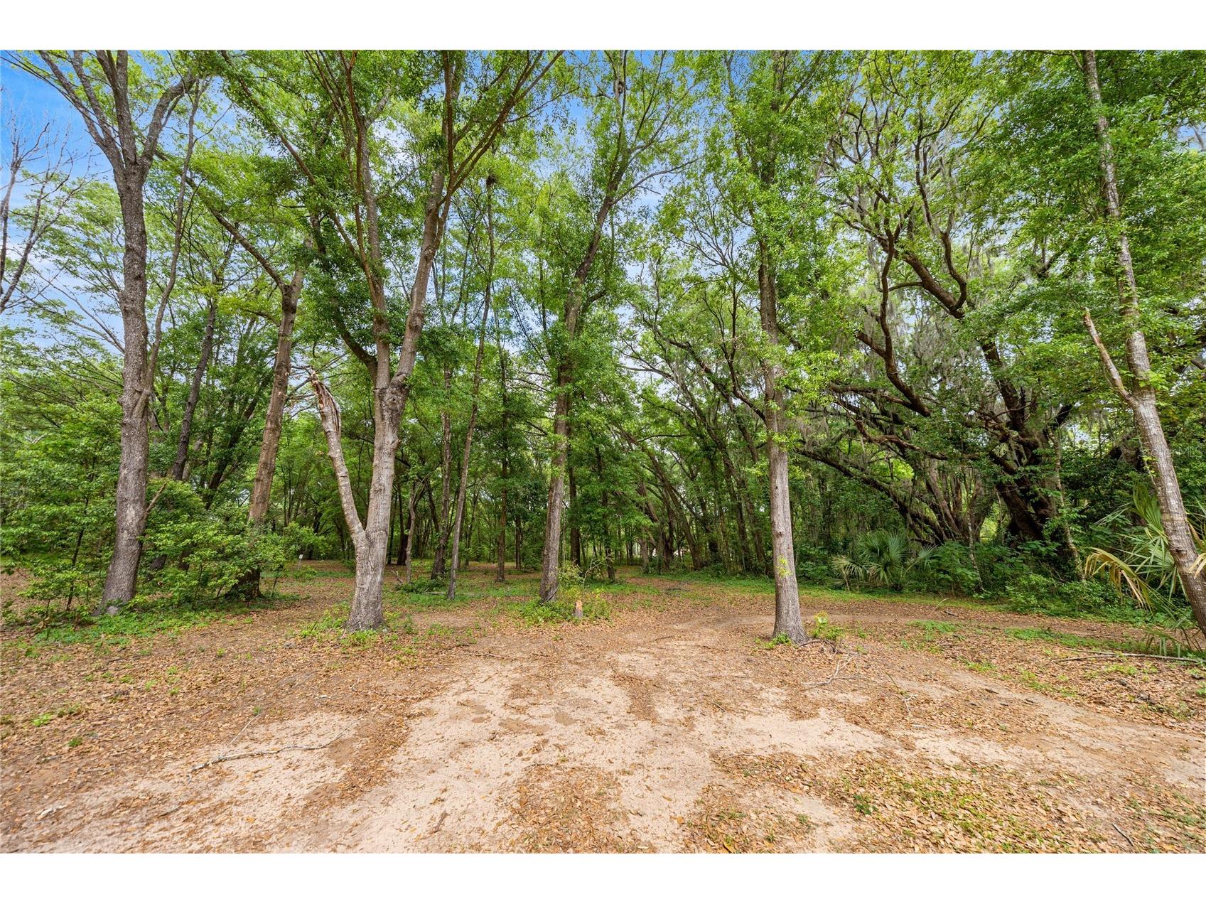 12882 SE 78th Terrace Summerfield FL 34491 OM722361 image6