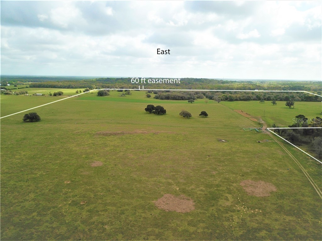 12884 S Pleasant Grove Road Floral City FL 34436 W7831104 image1