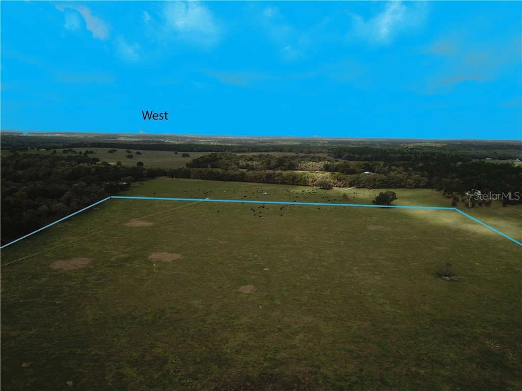 12884 S Pleasant Grove Road Floral City FL 34436 W7831104 image10