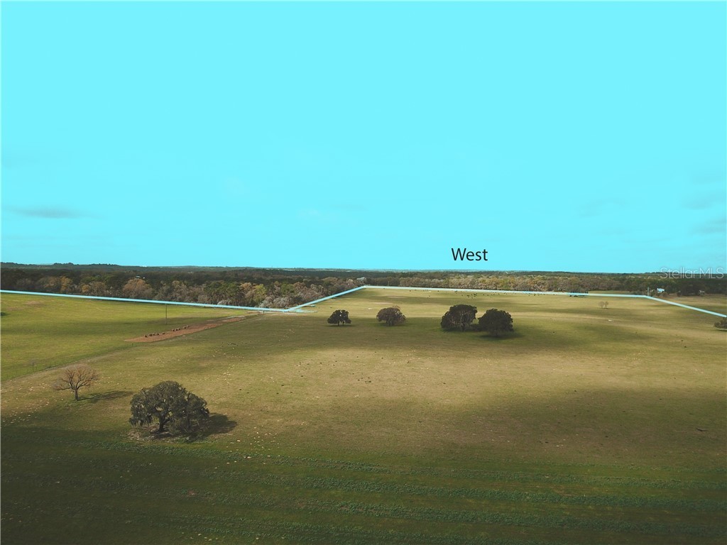 12884 S Pleasant Grove Road Floral City FL 34436 W7831104 image12