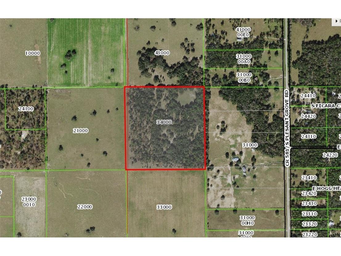 12884 S Pleasant Grove Road Floral City FL 34436 W7831104 image14