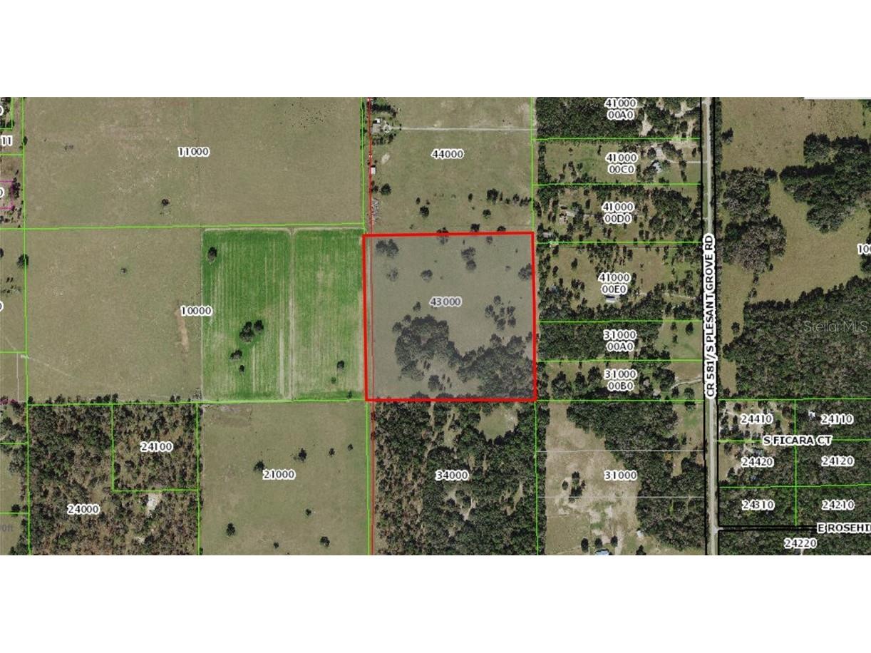12884 S Pleasant Grove Road Floral City FL 34436 W7831104 image15