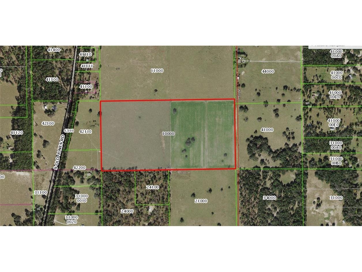 12884 S Pleasant Grove Road Floral City FL 34436 W7831104 image16