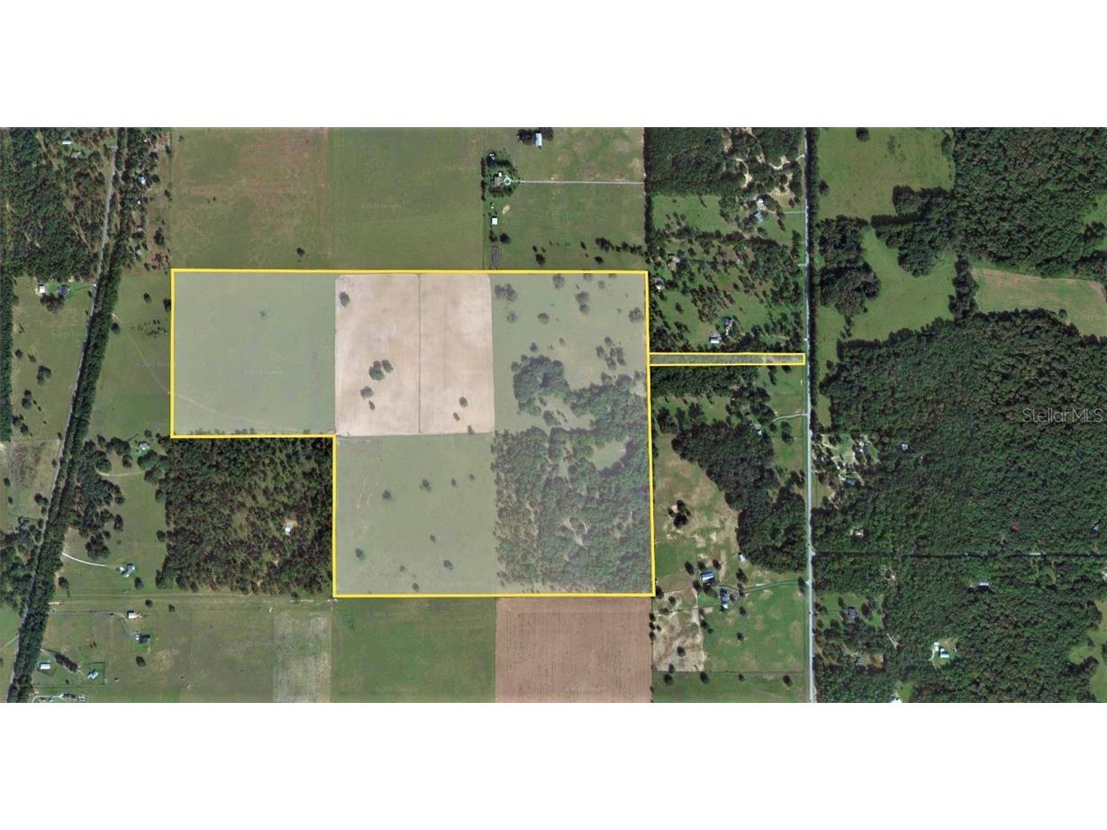 12884 S Pleasant Grove Road Floral City FL 34436 W7831104 image2
