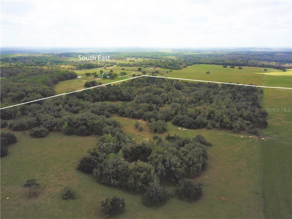 12884 S Pleasant Grove Road Floral City FL 34436 W7831104 image4