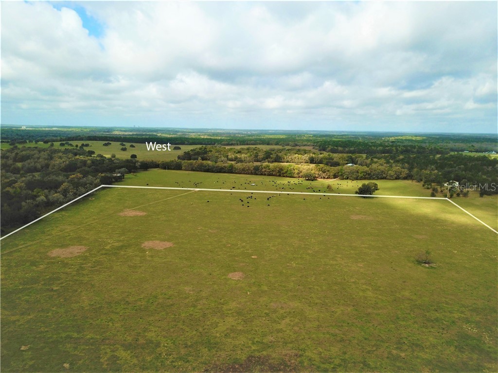 12884 S Pleasant Grove Road Floral City FL 34436 W7831104 image6