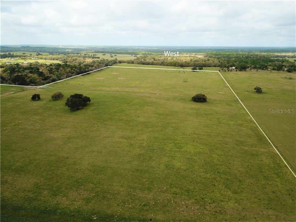 12884 S Pleasant Grove Road Floral City FL 34436 W7831104 image7