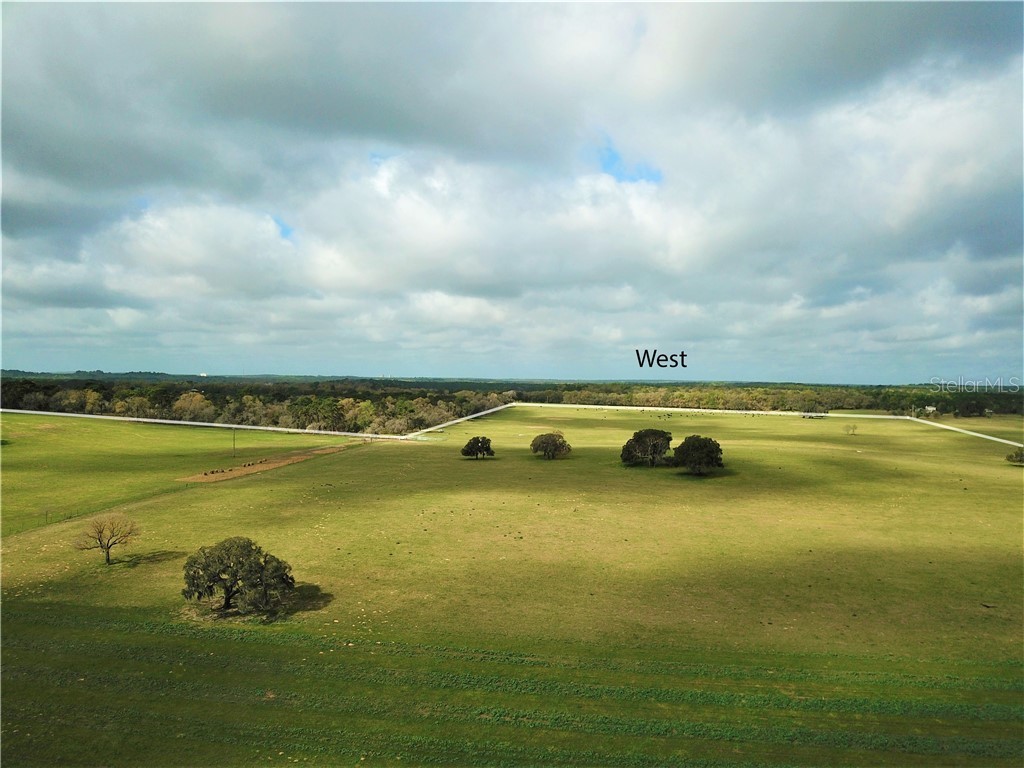 12884 S Pleasant Grove Road Floral City FL 34436 W7831104 image8