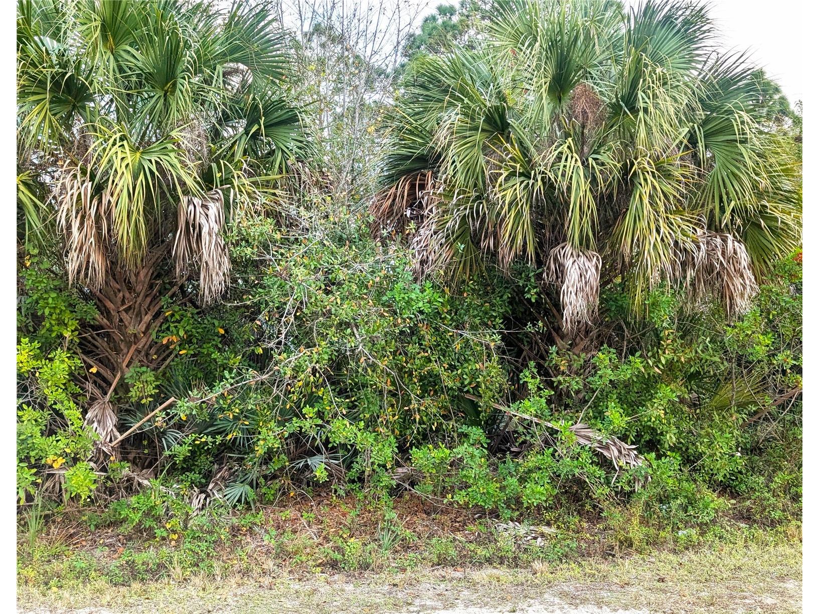 12885 86th Street Fellsmere FL 32948 TB8464220 image1