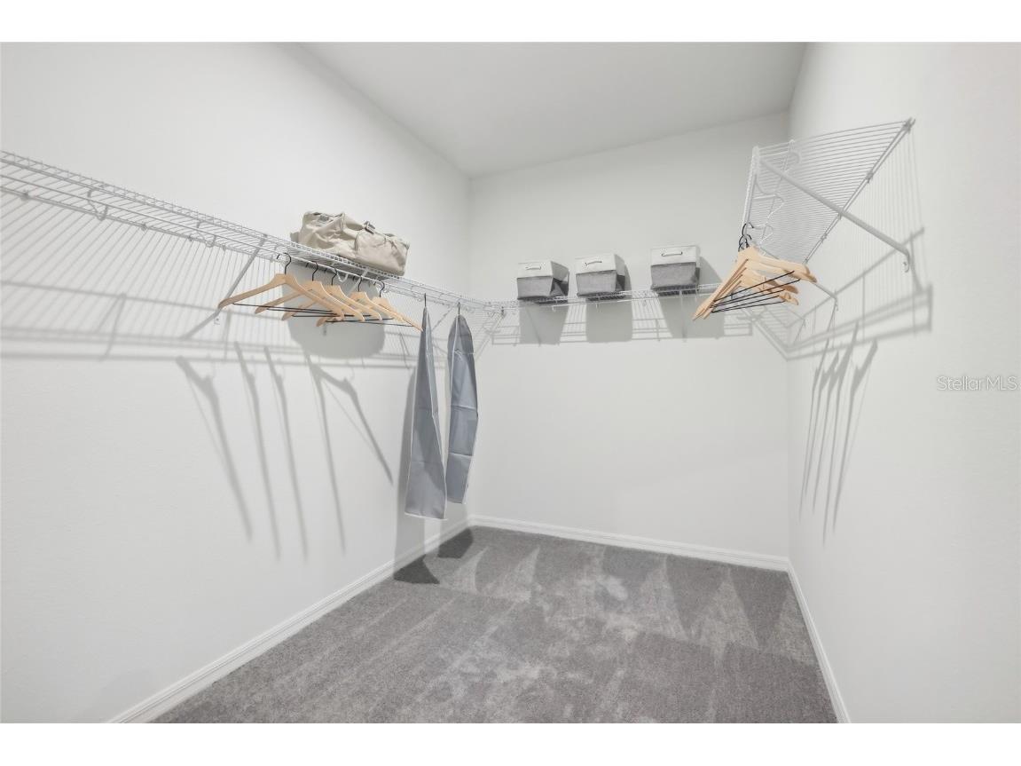 12886 Trovita Drive Grand Island FL 32735 O6365171 image34